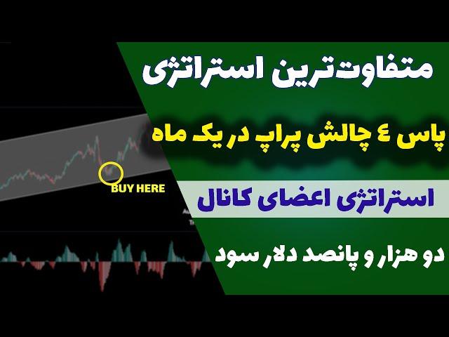 استراتژی عجیب و فوق‌العاده اعضای کانال(32)| 2000 دلار سود در یک ماه