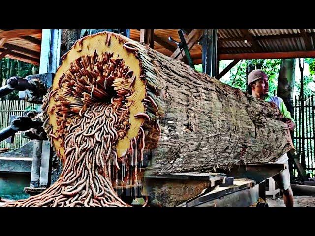 Amazing discovery of old teak log full of beautiful grain at sawmill