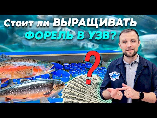 ТОП 7 причин ПОЧЕМУ ФОРЕЛЬ выбирают ЧАЩЕ для ВЫРАЩИВАНИЯ В УЗВ