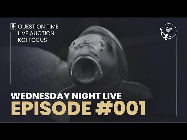 Wednesday Night Live – Koi Auction, Koi Focus & Question Time | Episode 001