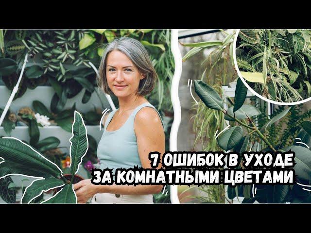 Проблемы с комнатными цветами - 7 самых частых ошибок | Секреты в уходе за комнатными растениями