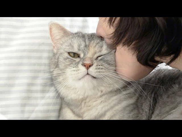 I Took a Bite Out of My Cat TT! (ENG SUB)