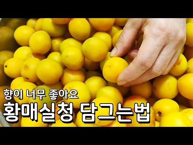 향이 너무 좋좋고 맛도 좋아요 간단한 황매실청 담그기