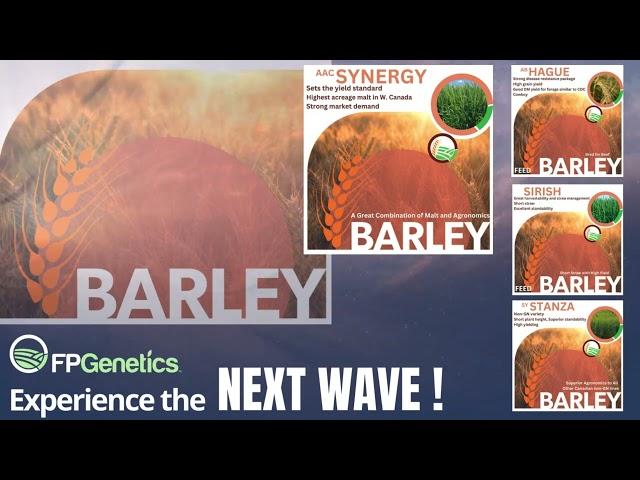 FP Genetics - NEXT WAVE Barely