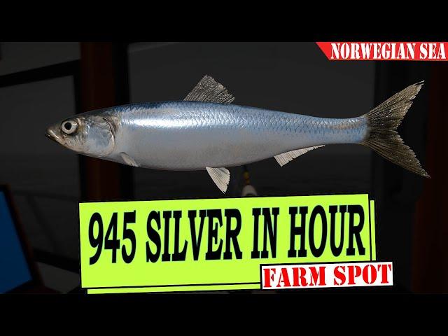 RF4 - Russian Fishing 4 - Atlantic herring - 945 silver in 1 hour - Silver Farm - Norwegian sea