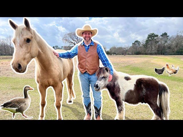 Tour the Farm and Meet Animals | Cowboy Jack