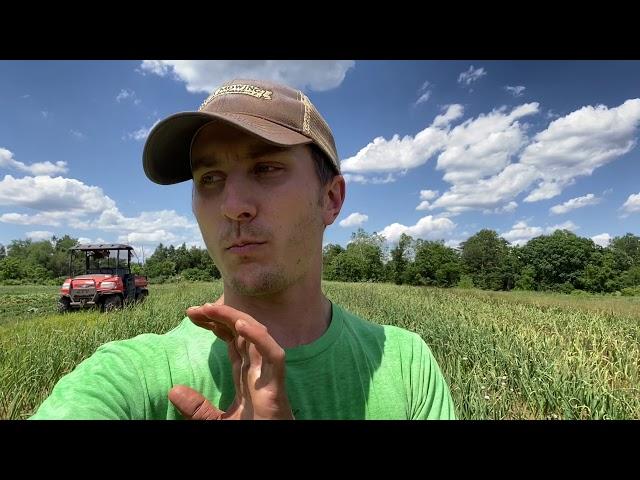 "Garlic Scapes" -- Willowsford Farm Walk 6/5/20