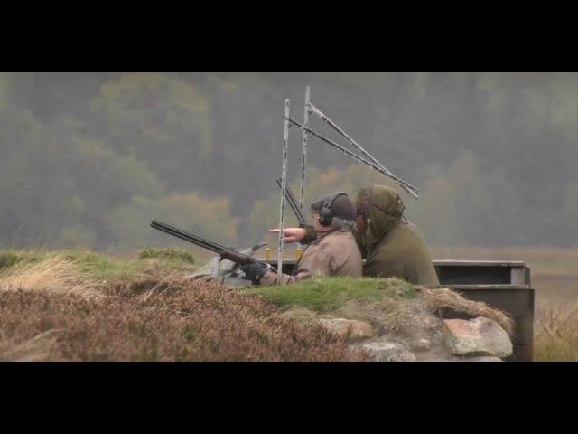 Driven Grouse Shooting Legerwood - Scotland - UK