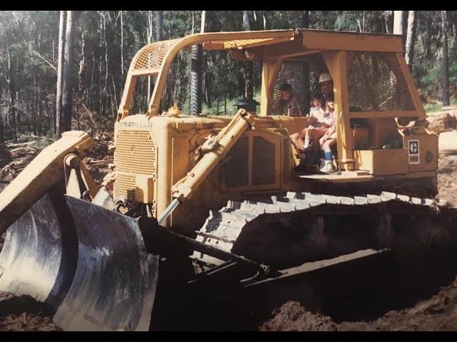 Logging in the Dorrigo and New England area