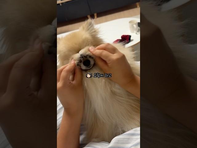 스스로 세수하는 법 배우는 갱이씨