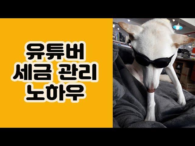 유튜버 세금 관리 노하우 : 자닮 세무회계 송애경 세무사