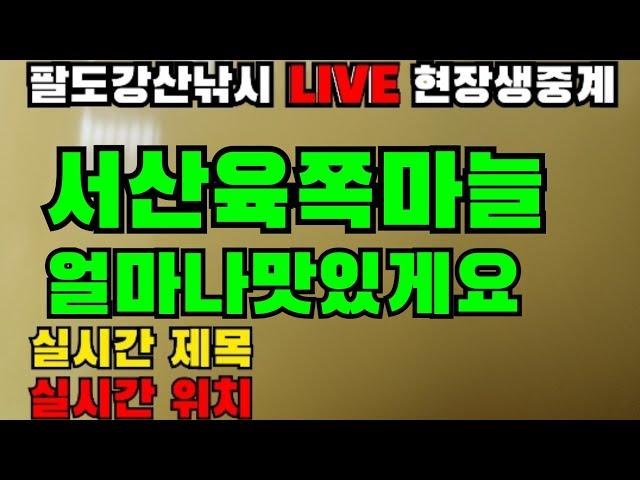 생음악 공짜 시청해유 서산육쪽마늘 마늘먹고 환생해유 팔도강산낚시