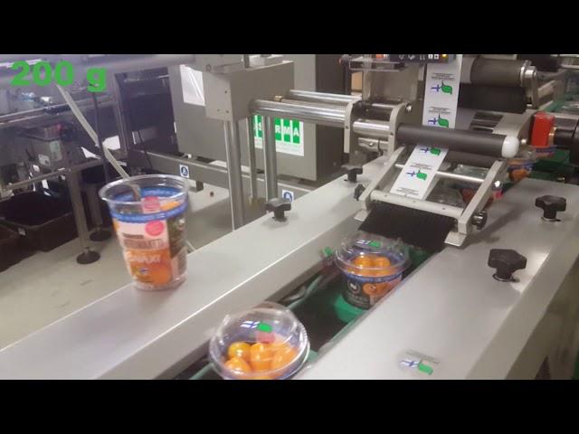 Sorma weighing, filling, packing 250 – 500 g cherry tomato