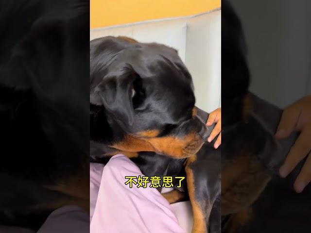 这一天可能整事了呢 #拉登与阿亮的日常生活