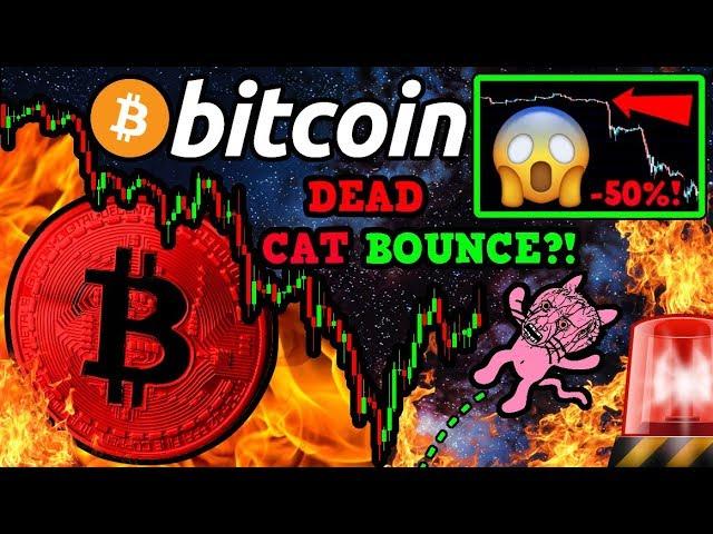 Bitcoin DEAD CAT Bounce?! Bearish Signal PANIC!!! $BTC WHALES BOUGHT the DIP!!!