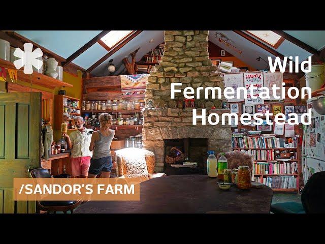 Left city to pioneer wild fermentation in tranquil off-grid homestead