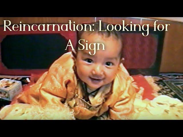 Buddhist Spiritual Reincarnation Documentary | Looking for A Sign