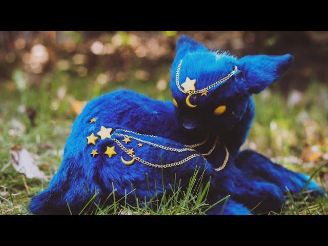 DIY Baby Starry Night Deer Art Doll Tutorial