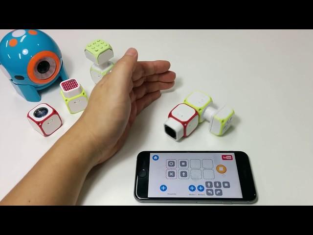 Cubroid Coding App - Self-Driving Car Project