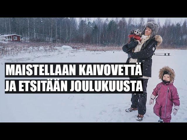 Nuohoushommia ja joulukuusen etsimistä | MAATILAVLOGI | FINNISH HOMESTEAD (English subtitles)