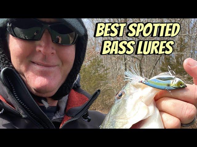 Best Spotted Bass Lures