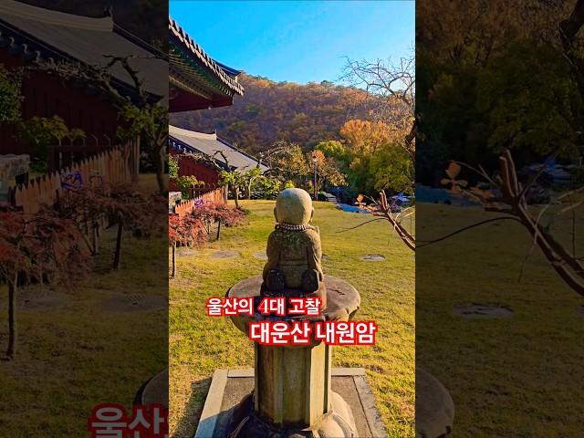 흔적도 없이 사라진 신라사찰 대운산 대원사의 9암자 중 하나인 #내원암