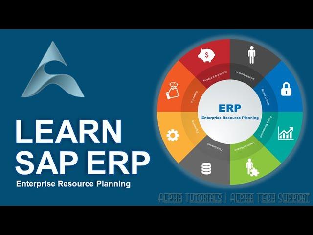 SAP ERP Essential Training