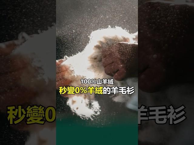 羊絨變羊毛，紮心了......