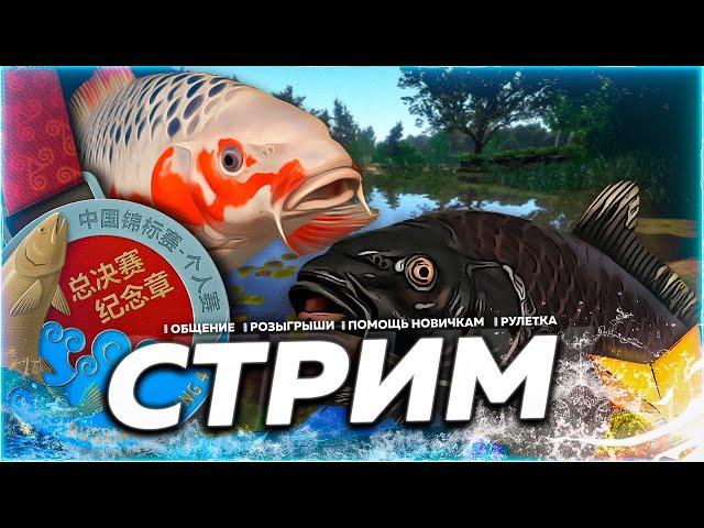 МЕДНОЕ ⭐ ПРОВЕРЯЕМ ФАРМ КАРПОВ КОИ Рулетка & Розыгрыши  СТРИМ Русская Рыбалка 4