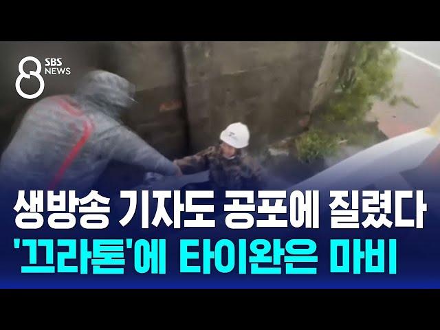 생방송 기자도 공포에 질렸다…'끄라톤'에 타이완은 마비 / SBS 8뉴스