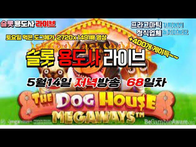 [슬롯] 슬롯용도사 [68일차] 5월14일 저녁방송 더 도그 메가 하이라이트 영상 #game #slot #슬롯 #슬롯용도사