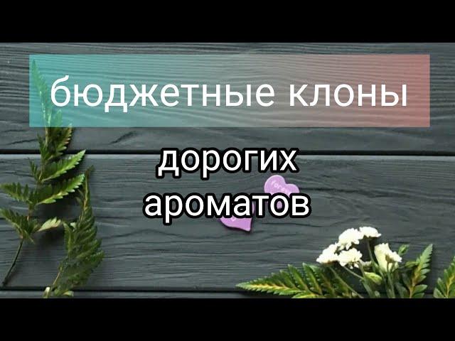 Бюджетные клоны дорогих ароматов. #клоны дорогих духов