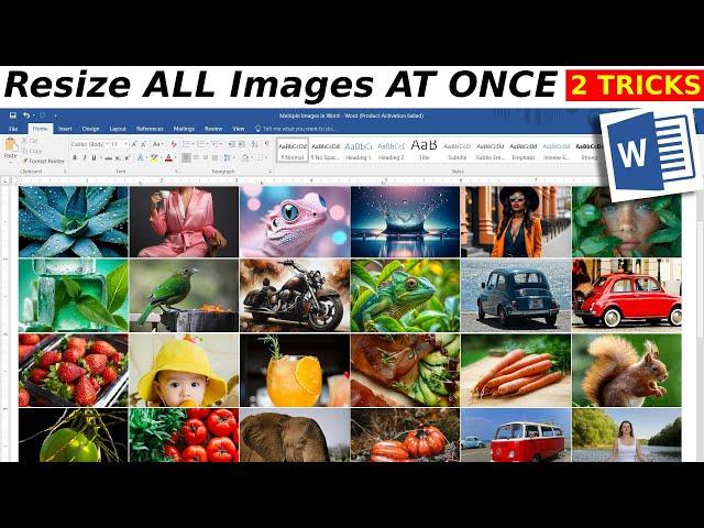 How to Resize Multiple Images AT ONCE in MS Word - Microsoft Word Tutorial