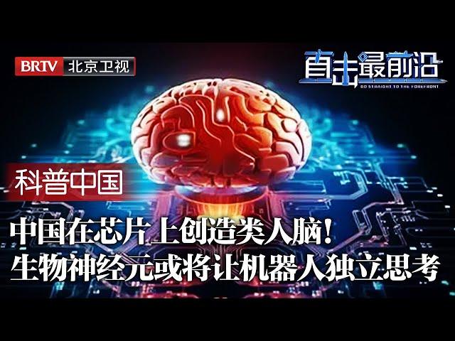 中国实现再造大脑！在芯片上培养出类脑组织，可直接植入机器人，机器人未来或将独立思考 【科普中国直击最前沿】