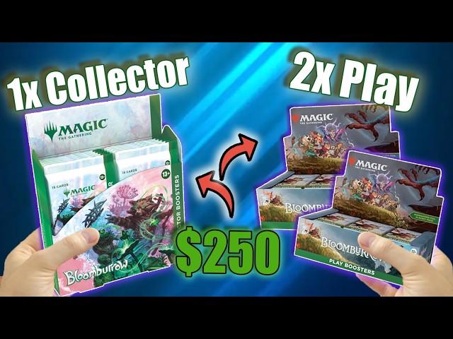 If You Have ~$250 For Magic: Bloomburrow, What Should You Get?