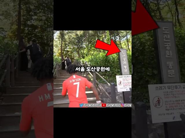 서울 도산공원에 마실 나온 스피드ㅋㅋㅋ 이왜진ㅋㅋㅋ