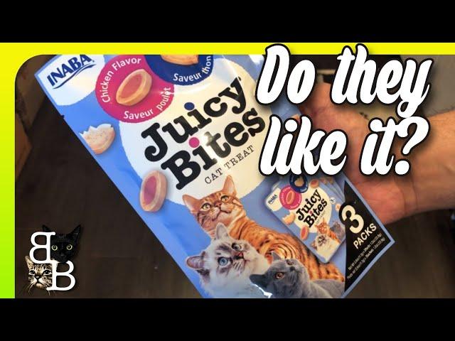 Bubu chan and her brother Boboi try Juicy Bites!  / 猫たちの新しいオヤツ！#cats #cattreats #Inaba