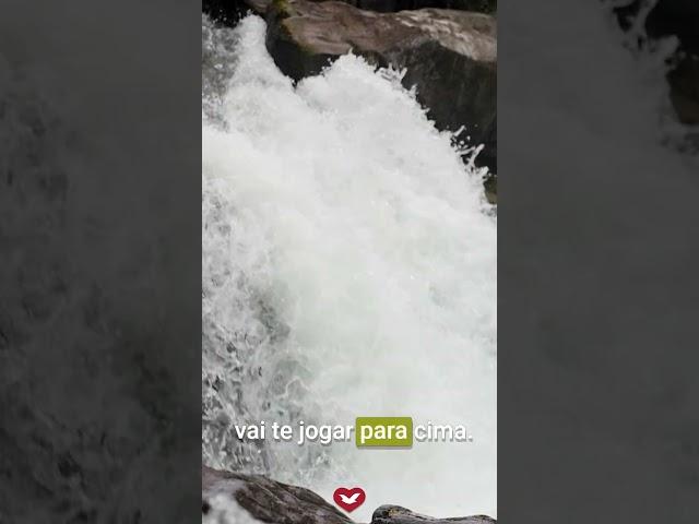 Quem tem o Espírito Santo tem tudo!
