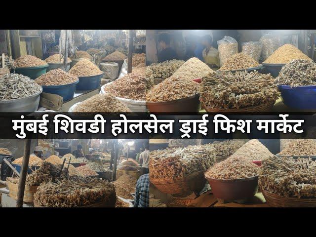 Sewri Dry Fish Market In Mumbai Wholesale Sukhi Machhi Market 2023