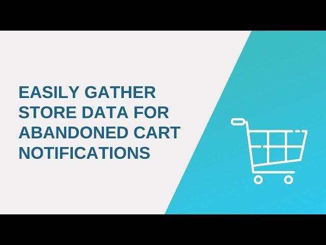 How to easily gather store data for abandoned cart notifications?