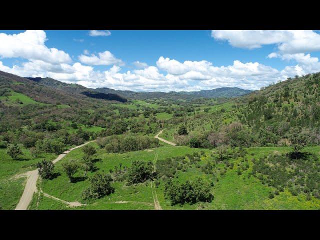 Peel Valley Real Estate Tamworth Rural Property For Sale - 4127 Halls Creek Road, HALLS CREEK NSW