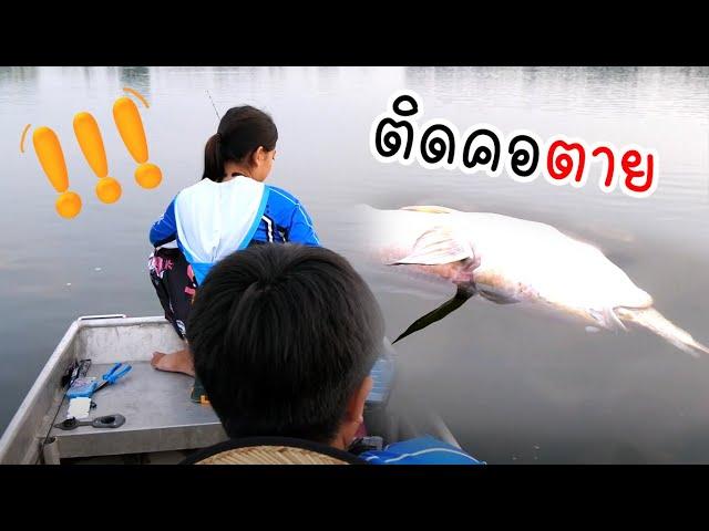 ปลาใหญ่ ตายเพราะปาก | เด็กตกปลา