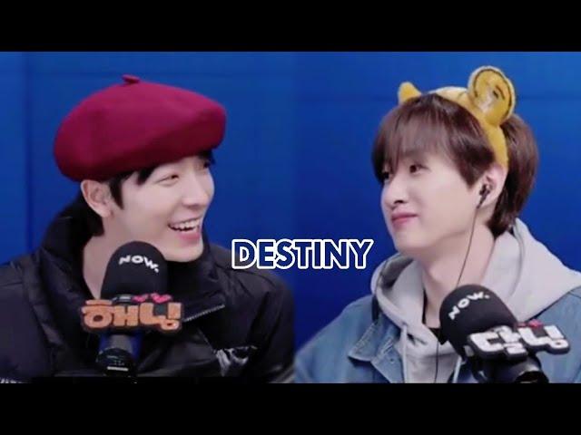 [139] Eng/Viet BORN FOR EACH OTHER || Eunhae Haehyuk