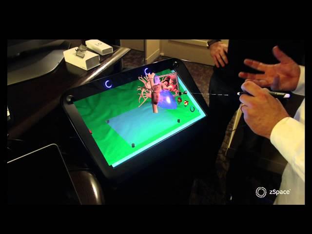 Demo: zSpace Immersive, 3D Display Technology at SC13