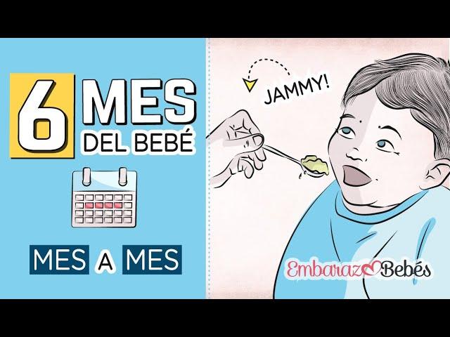  SEXTO MES del bebé | 6 MES | Desarrollo y cuidados