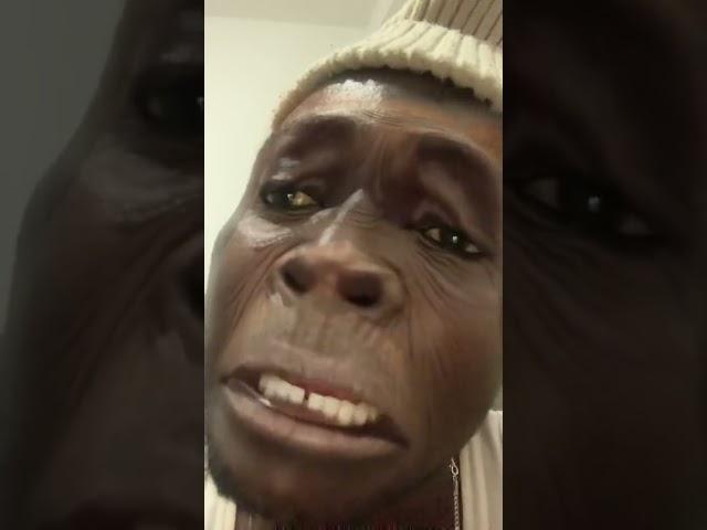 borom rewmi  yeuk na succès nak  #sonko2024 #senegal #juanbranco