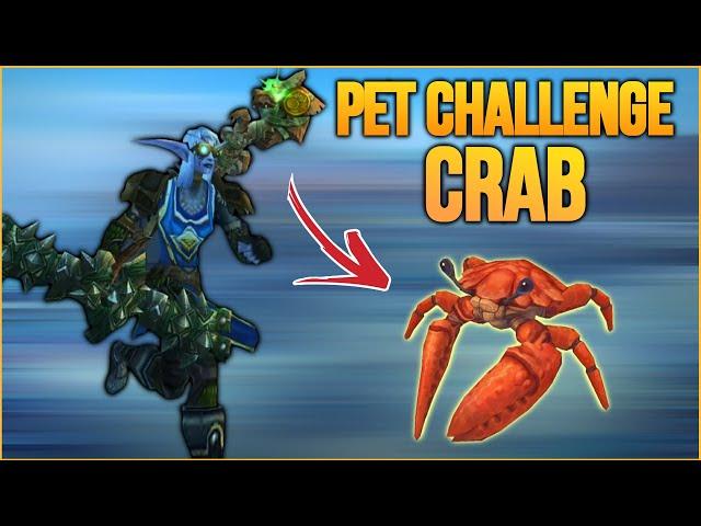 Crab pet PvP action  - Marksmanship Hunter WotLK Classic PvP 2023