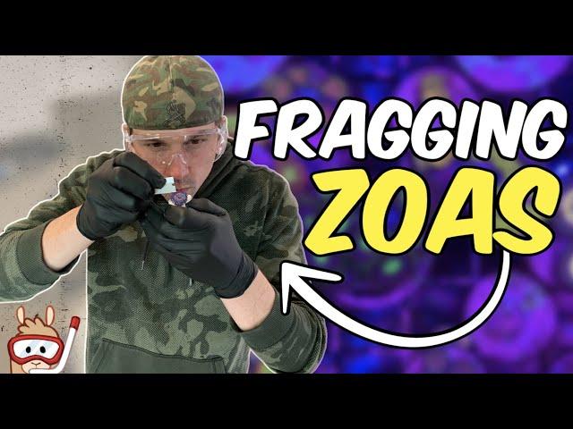 How I Frag Zoanthids