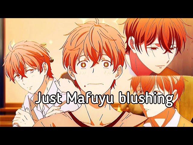 Mafuyu blushing will be the death of me ~ more cute moments | Given