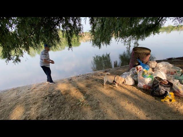 С ПРАЗДНИКОМ ! Михалыч КАК ВСЕГДА- пошел СОБИРАТЬ БУТЫЛКИ… #мамаотличника #михалыч